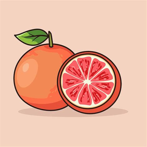 Premium Vector Two Pairs Of Blood Orange Fruit Vector Illustration