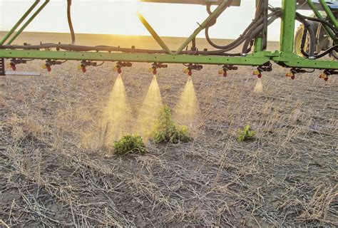 Green On Green Spray Technology Puts Weed Control On Near Horizon