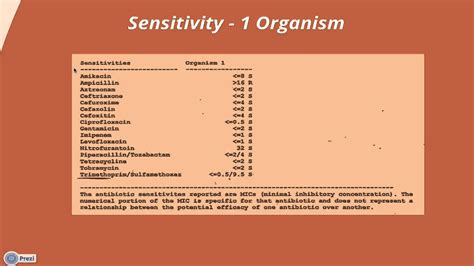 Interpreting A Urine Culture And Sensitivity Youtube