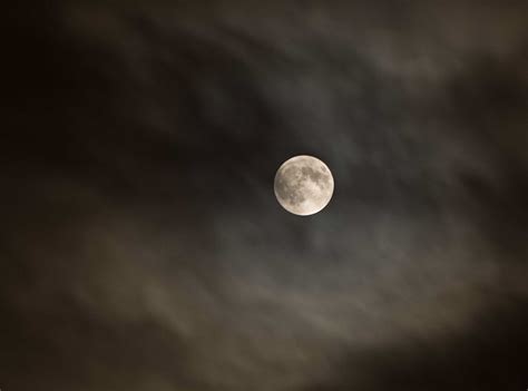 Harvest Moon on Behance