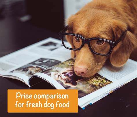 Fresh Dog Food Price Comparison 4 Brands And What They Cost