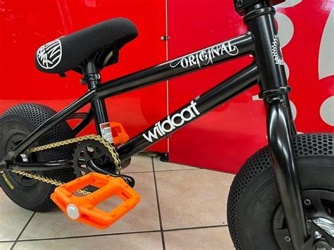 Mini Bmx Wildcat Original BMX Race Verona RMC