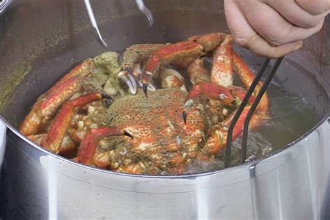 Cómo cocer un centollo todos los trucos en cocina familiar