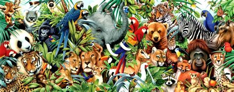 Jungle Animals Wallpapers - Wallpaper Cave