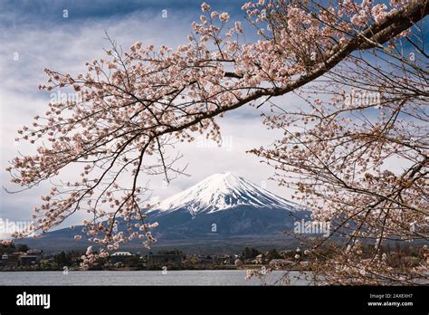 Mt. Fuji over Lake Kawaguchi Stock Photo - Alamy