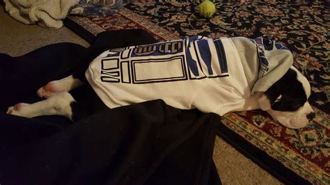 Sleepy R2d2 Bully Scrolller