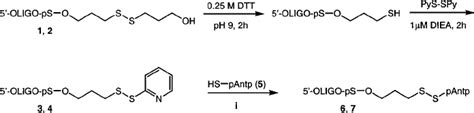 Preparation Of Oligonucleotide Peptide Conjugates I 20 30 Aq Mecn