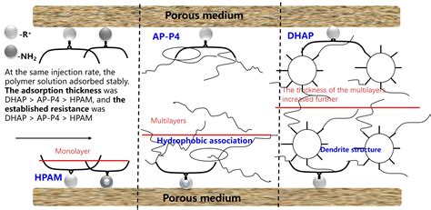 Polymers Free Full Text Adsorption Characteristics Of Polymer Solutions On Media Surfaces