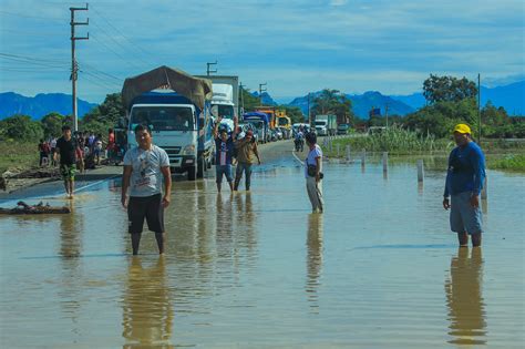 Alerta Sanitaria Brote De Plagas Y Enfermedades Ocasionadas Por Las