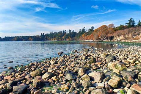 Things To Do In The San Juan Islands Archives Kenmoreair