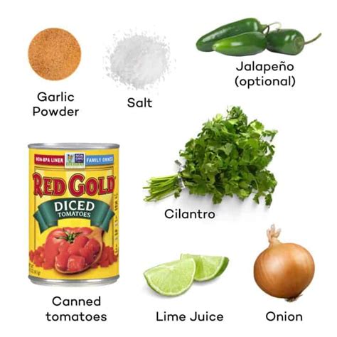 Easy Blender Salsa Recipe With Canned Tomatoes - Homemade Happy Hour