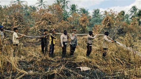 Empat Daerah Di Riau Sudah Terjadi Karhutla Pemprov Riau Segera