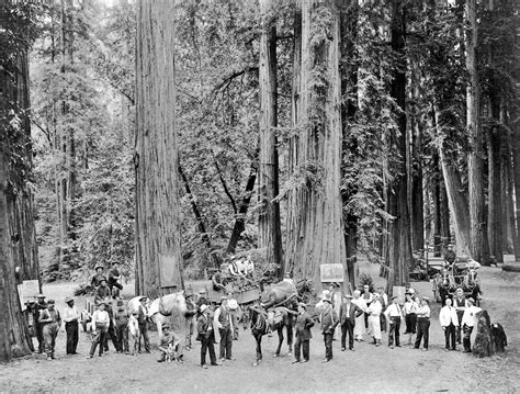 History in Photos: Bohemian Grove