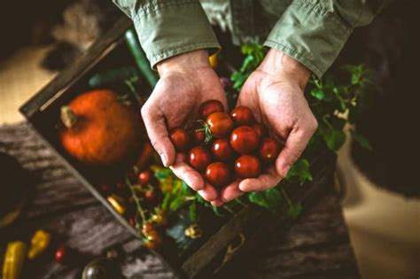 Segurança Alimentar E Do Alimento Veja 3 Diferenças