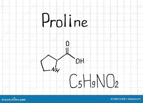 Proline Molecular Structure 3d Flat Model Proteinogenic Amino Acid