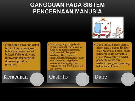 Anatomi Fisiologi Sistem Pencernaan Pptx