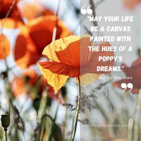 250 Captivating Poppy Quotes to Inspire - SimplyBeyondHerbs