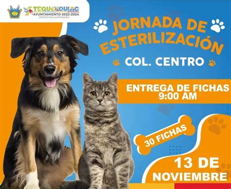 Jornada de esterilización gratuita en la Colonia Centro Las fichas se