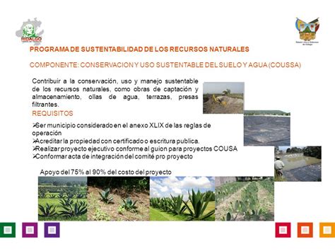 PROGRAMAS EN CONCURRENCIA DE RECURSOS 2012 Enero Ppt Descargar