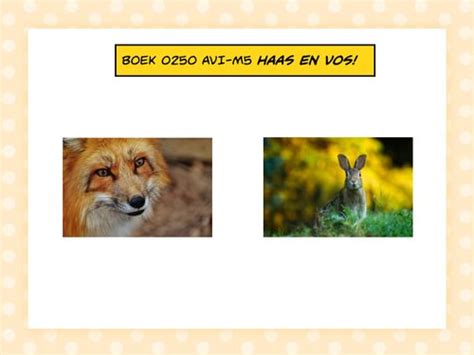 Book Creator Boek 0250 Avi M5 Haas En Vos