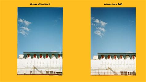 Kodak Colorplus VS Kodak Gold Which Is The Best Your Photography Buddy