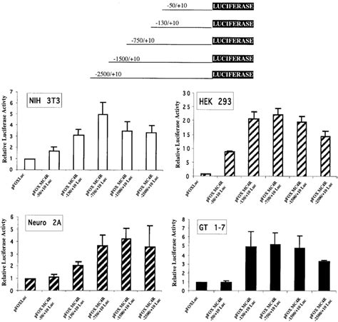 Transcriptional Activity Of The Human Mc4r Promoter In Cell Lines Download Scientific Diagram