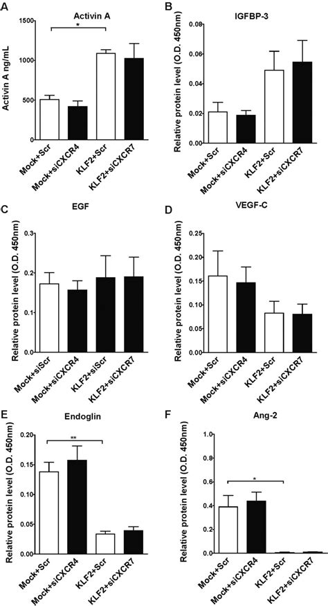 Endothelial Transcription Factor Klf2 Negatively Regulates Liver