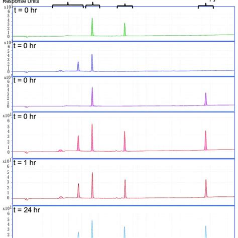 Bodipy Fl C And Tmre Fluorescence Measurements Combined With