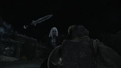 Castlevania Lord Of Shadows Alucard Race And Follower At Skyrim