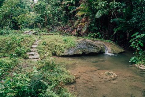 SIQUIJOR FALLS GUIDE • Top 3 Siquijor Waterfalls | Jonny Melon