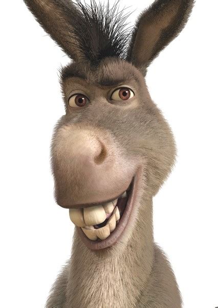 Shrek Characters Donkey