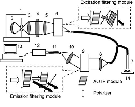 Figure 1 From Rapid Near Infrared Fluorescence Excitation Emission