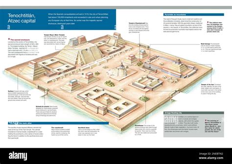 Infographic Of The Sacred Site Of Tenochtitlan Capital Of The Aztecs