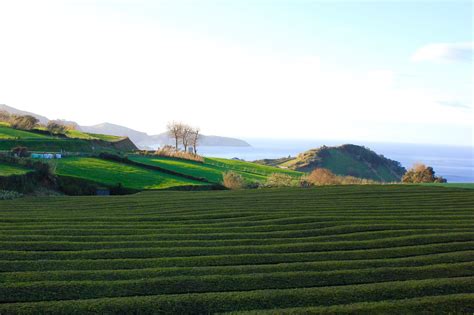 Portuguese Islands’ Folk Tales - Portugal.com