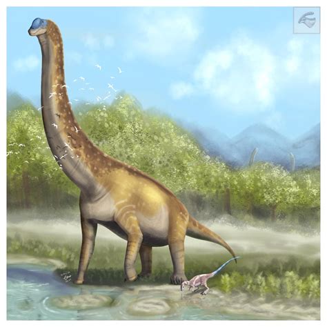 Braquiosauro Brachiosaurus Dinosaurios Imagenes Dibujo De Dinosaurio Porn Sex Picture