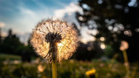 Wettervorhersage Sonniges Wochenende Bei Milden Temperaturen In Hessen