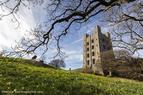 Penrhyn Castle and Gardens