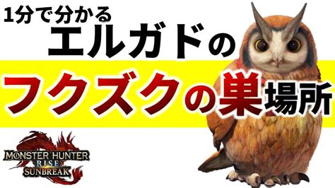 エルガドのフクズクの巣場所を紹介【モンスターハンターライズサンブレイクmhrisesb】 Youtube