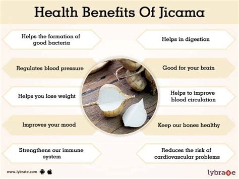 Benefits Of Jicama And Its Side Effects Lybrate