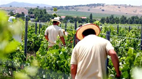 Muere Un Agricultor De A Os En Un Pueblo De Ciudad Real Por Un Golpe