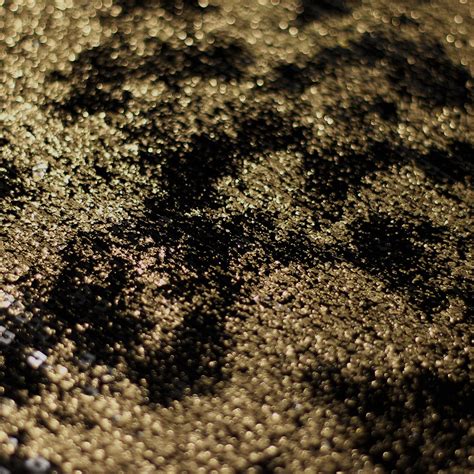 Sparkly Sequins Nylon Spandex Dusted Sequins Rex Fabrics