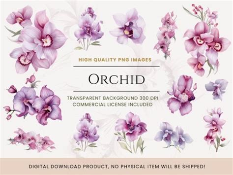 Watercolor Orchid Flowers Collection Graphic By Happy B Studio