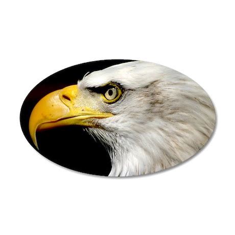 American Bald Eagle Wall Decal by crazybouthercat