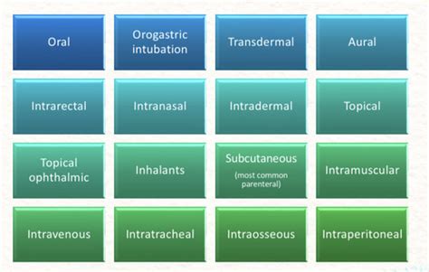 Drug Administration Flashcards | Quizlet