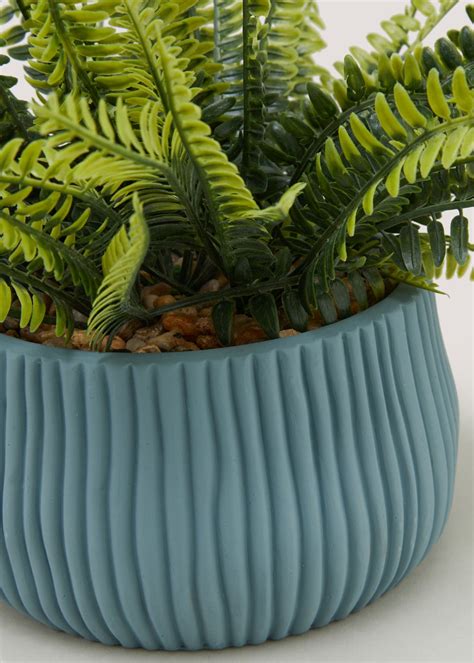 Fern In Blue Ribbed Pot Cm X Cm Matalan