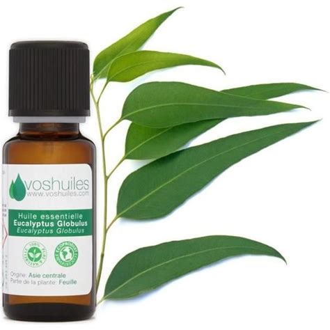 Huile Essentielle d Eucalyptus Globulus 10ML Cdiscount Santé Mieux