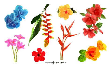 Descarga Vector De Conjunto De Ilustración De Flores Tropicales