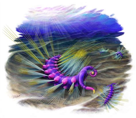 ursactis paleopedia wiki fandom