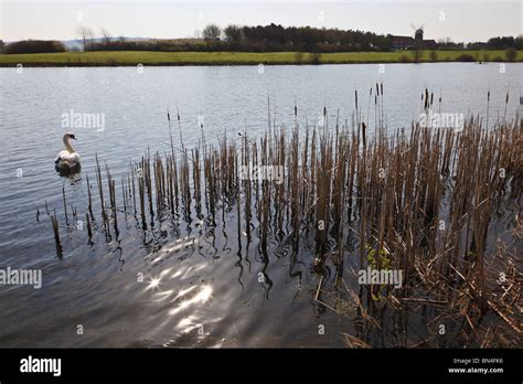 View of Caldecotte Lake looking towards the Caldecotte windmill, Milton ...