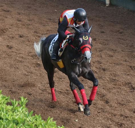 【マーメイドs】コスタボニータ 楽に時計が出た、杉山佳師「コンディションを整える程度」 スポニチ競馬web